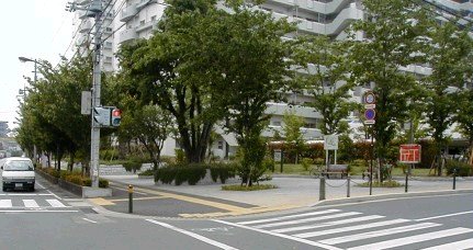 写真：県合同庁舎前歩道