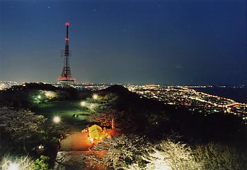 湘南平の夜景