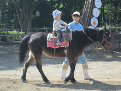 写真イメージ:子供がポニーに乗っている様子