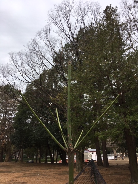 3月4日（水曜日）