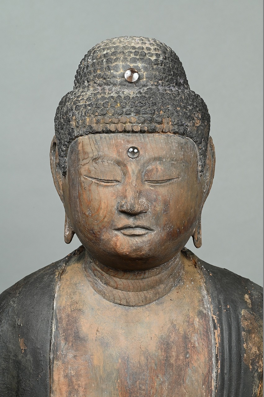 正福寺所有の木造薬師如来立像 正福寺木造薬師如来立像の写真