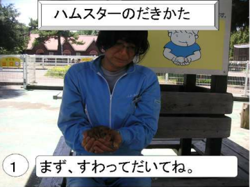 ハムスターの捕まえ方、抱き方1:まず座って抱いてね