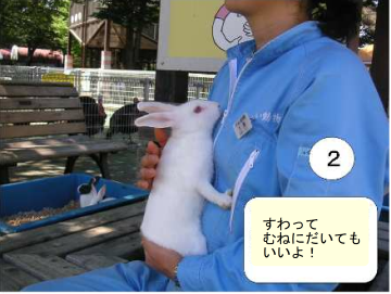 うさぎの抱き方2:座って胸に抱いてもいいよ