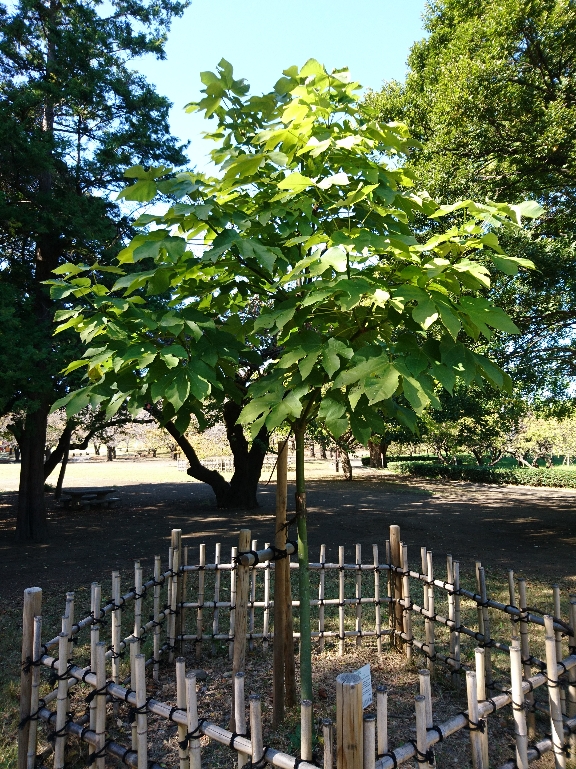 10月26日（火曜日）