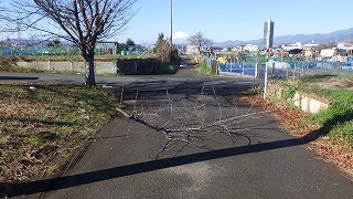 道路上の障害物