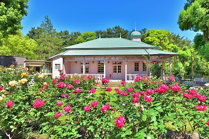 八幡山の洋館の写真