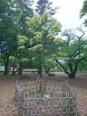 4月24日（月曜日）