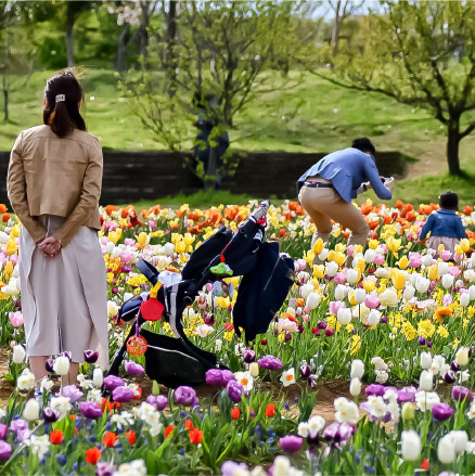 お花畑の中の家族の写真