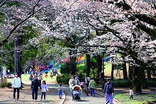 多くの人が訪れる総合公園