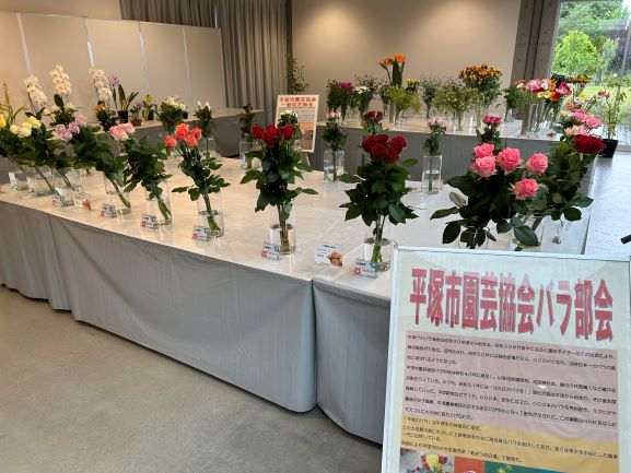 バラの花です