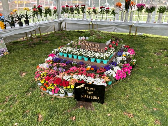 緑化まつりで行った花の展示です