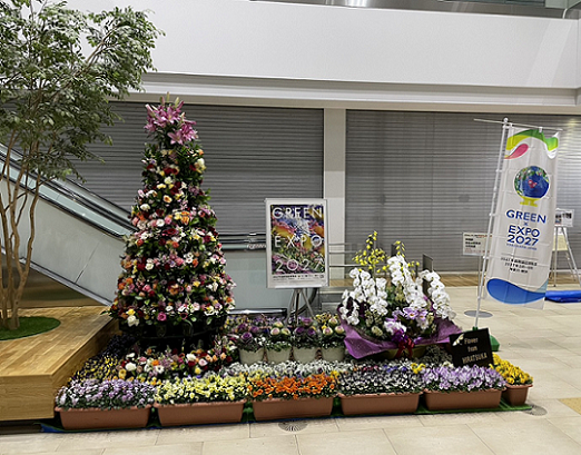 市役所での花の展示です