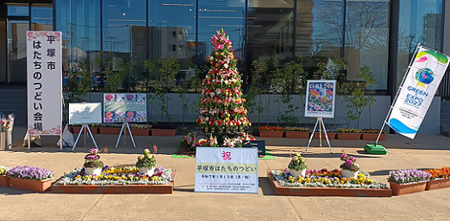 成人式の花の展示です