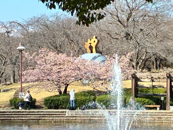 3月12日桜写真2